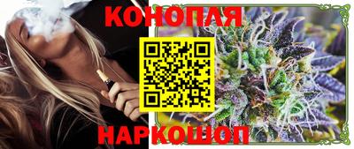 Альфа ПВП Обь