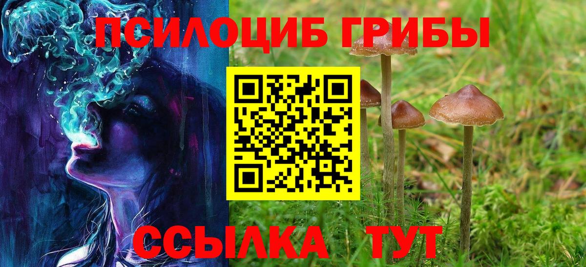 Россошь  Псилоцибиновые грибы GOLDEN TEACHER  Вход с VPN 