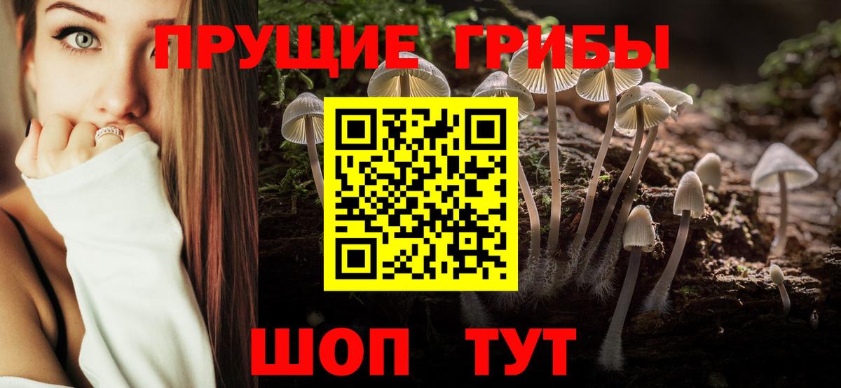 Псилоцибиновые грибы Cubensis Россошь